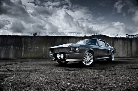 Shelby GT500 - shelby, ford, gt500, mustange