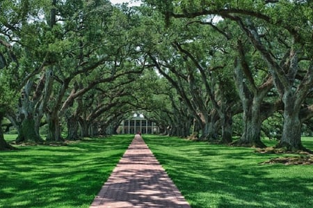 Sidewalk to the Home - architecture, house, trees, nature, sun, grass