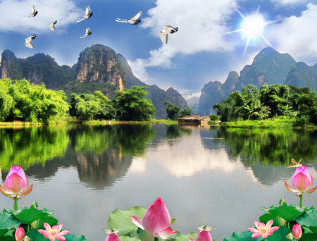 landscape - lotus, pigeon, scenery, landscape, sun