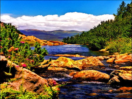 Mountain river in summer - calm, blue, stream, mountain, riverbank, waters, sky, clouds, trees, beautiful, stones, colorful, river, nature, peaceful, rocks, silent