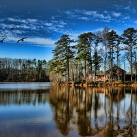 birds over lake houses hdr