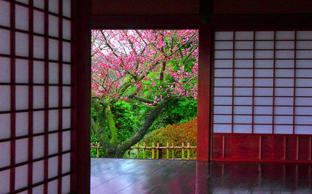 WELCOME,SPRING! - blossoms, sakura, door, spring