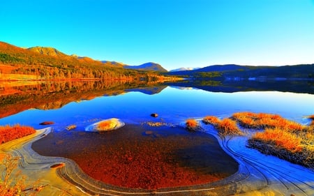 ICY LAKE - lake, a forest, landscape, ice, a reflection, nature