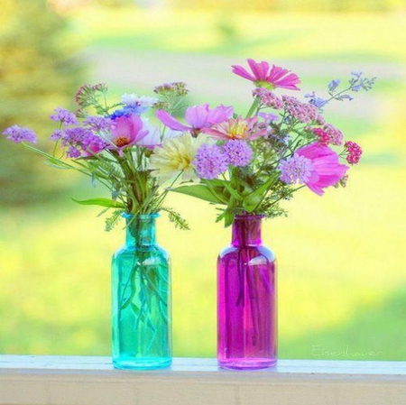 colorful - window, wild, colorful, bottle, flower