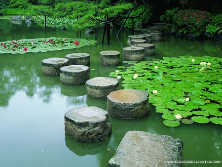 Stone Lilypads to Stairs - trees, stone, water, rock, lilypads, flowers, stairs, nature, lake, sky