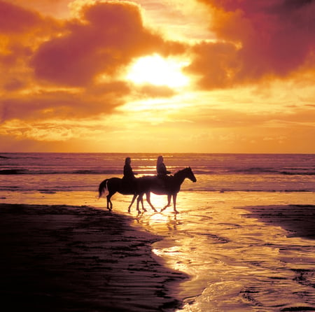 Sunset - horse, lover, love, sunset, sea, ocean