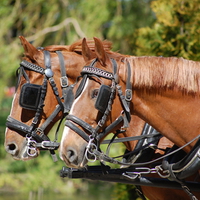 Horses at work