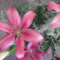 Bouquet of Pink Lily flowers