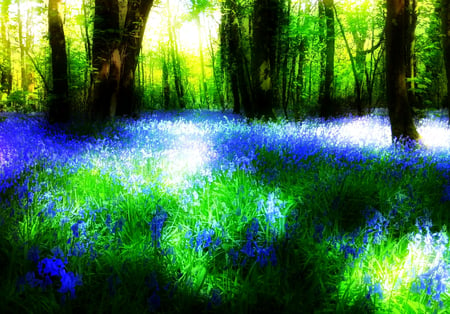 bluebell fantasy - flowers, fantasy, bluebells, nature, spring, forest