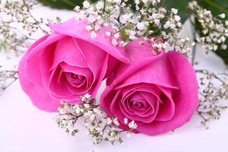 Pink roses - roses, pink, petals, valentines day, bouquet, flower