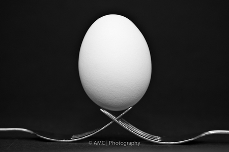 BALANCE - art, fork, photography, balance, bw, egg