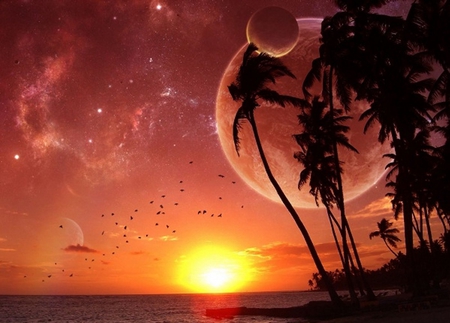 beautiful beach - dreaming, palms, sunset, beach