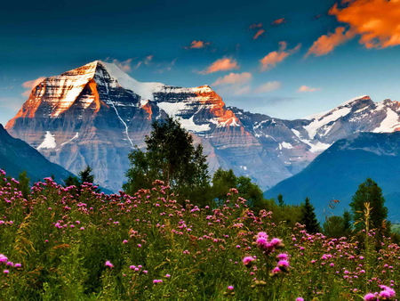 Summer in the foot of the mountain - clouds, hills, winter, summer, beautiful, snowy, peaks, mountain, flowers, foot, fresh, nature, floral, sky