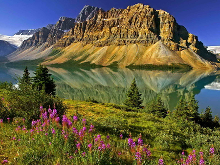 Mountainscape - lake, mountain, trees, peaceful, nature mirror, water, summer, mirrored, nature, calmness, reflection, beautiful, flowers, snowy