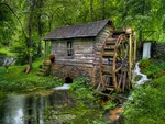 little mill in the forest