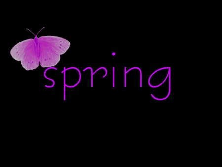 SPRING - butterfly, black, pink, spring