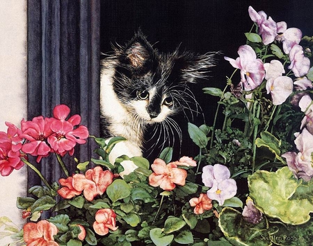 By Sueellen Ross - sueellen ross, animal, kitten, painting, flower, art, cat