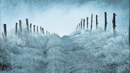 wintery trail - winter, fence, trail, grass