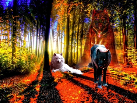 BLACK and WHITE - wolf, nature, wolves, indian, color, mountains, 2012, frame