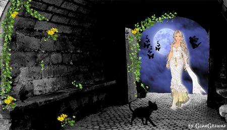 A Light in the Dark - gimp, fantasy, angel, background, cat, wallpaper