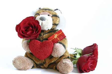 Teddy Bear gift - bear, heart, valentine, teddy, rose, gift