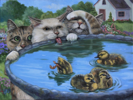 DUCK BATH - duck, bird, cats, bath