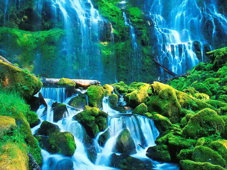 Magnificent waterfall - nature, magnificent, fall, forest, water, green, wonderfulstream, waterfall