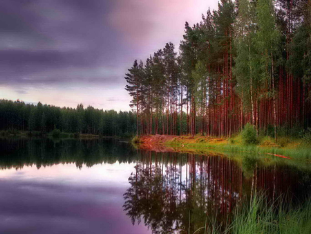 Trees along the river - calm, clouds, water, mirrored, reflection, river, sunset, nature, autumn, lake, peaceful, along, sky