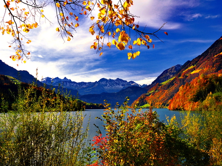 Mountain lake - summer, beautiful, flowers, slope, leaves, grass, lake, sky, mountainscape, clouds, nature, mountain