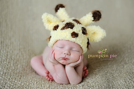 Pumpkin Pie - love, cute, baby, pie