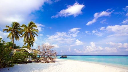 dhiggiri island - beach, palms, house, island