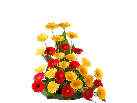 Red and Yellow-Flowers - flowers, red and yellow, picture, beautiful