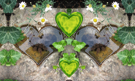 green heart - green, wp, leaf, heart