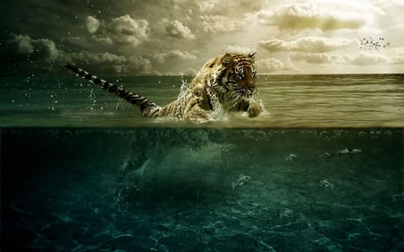 tiger fishing