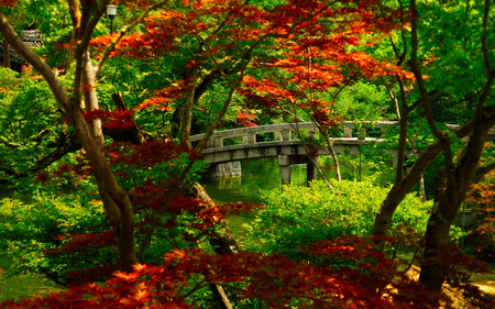 Japanese garden - trees, branches, water, summer, beautiful, forest, leavrs, river, nature, green, garden, bridge, park, japanese