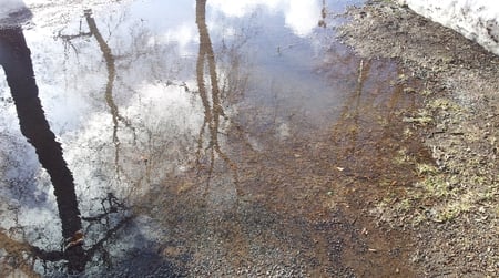 Melted ice on ground 2 - ice, on, melted, ground