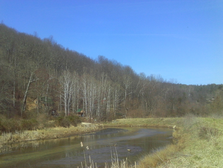 Along the Creek - cat tails, trees, pictures, creek