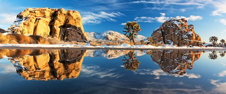 double the beauty - nature, reflection, photography, water, tree, mountains