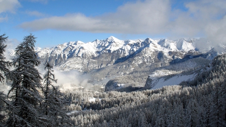 winter landscape - forest, mountains, mist, snow