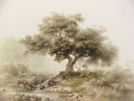 By Dalhart Windberg - nature, dalhart windberg, painting, art, tree