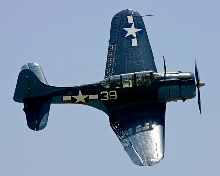 SBD Dauntless - airplane, sbd, war, plane, world, ww2, vintage, classic, dauntless, antique, wwii